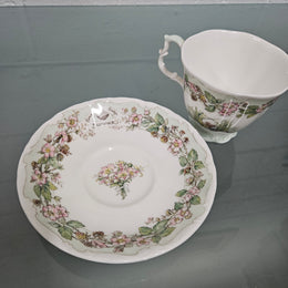 Brambly Hedge 'Summer' Tea Cup & Saucer