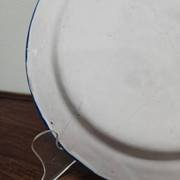 Large 19th Century French Majolica Hand Painted Plate