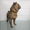 Rare Australian Large Cold Painted Terracotta Pug Statue | Antique & Vintage | Moonee Ponds Antiques | Australia Wide Delivery