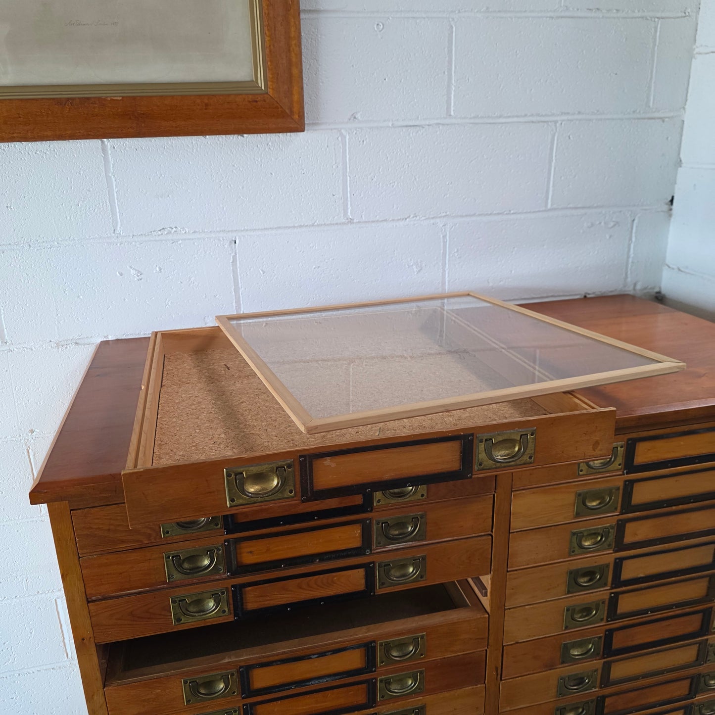 Rare 1920's Huon Pine 40 Drawer Entomology Specimen Cabinet