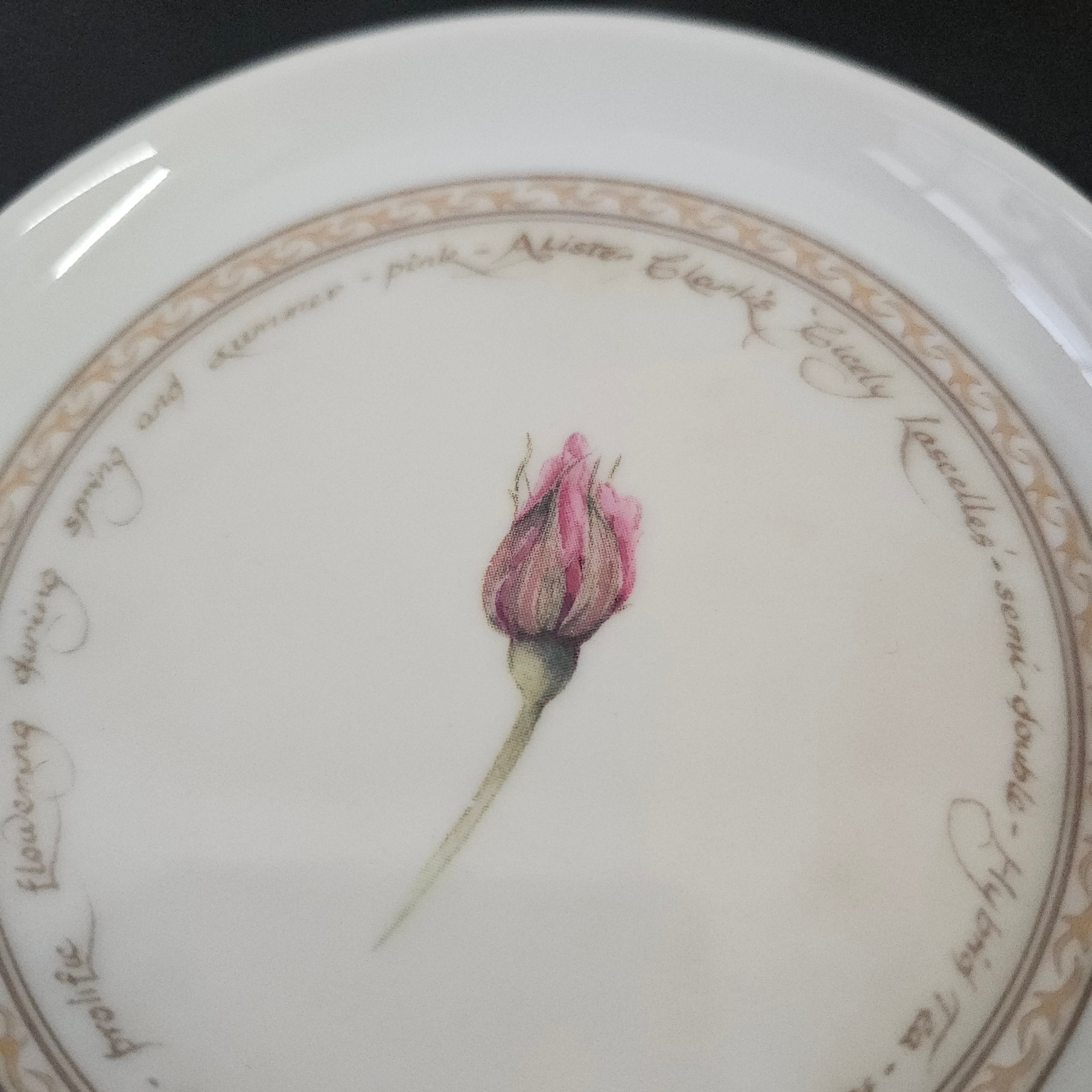 Philippa Nikulinsky Fine China Plate | Antique & Vintage | Moonee Ponds Antiques | Australia Wide Delivery