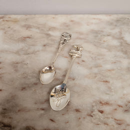 Vintage Silverplated Kiwi Tea Spoons (2)