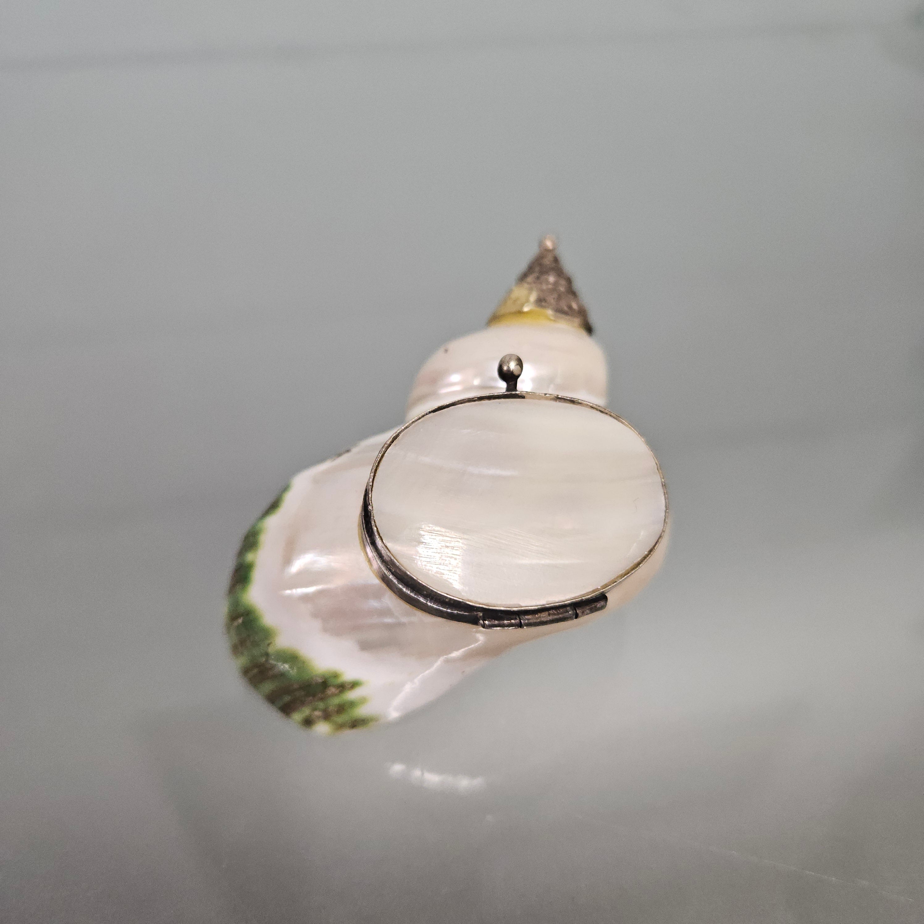 Novelty Silver & Mother Of Pearl Snuff Box | Antique & Vintage | Moonee Ponds Antiques | Australia Wide Delivery