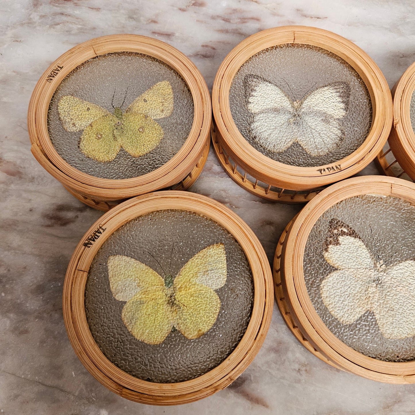 Vintage Set of Six Pressed Butterfly Coasters