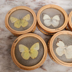 Vintage Set of Six Pressed Butterfly Coasters | Antique & Vintage | Moonee Ponds Antiques | Australia Wide Delivery