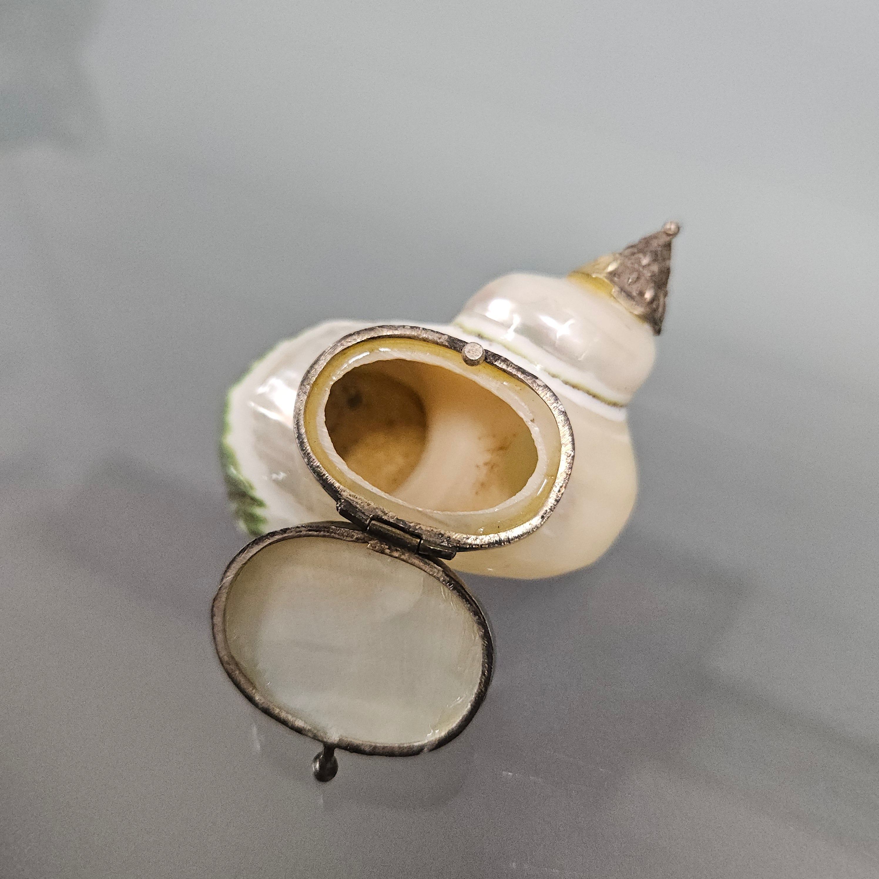 Novelty Silver & Mother Of Pearl Snuff Box | Antique & Vintage | Moonee Ponds Antiques | Australia Wide Delivery