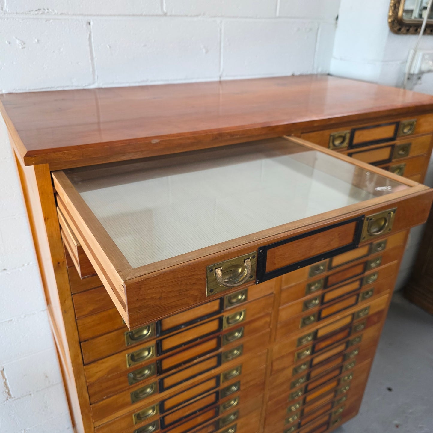 Rare 1920's Huon Pine 40 Drawer Entomology Specimen Cabinet