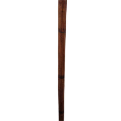 Vintage Hand Carved Walking Cane | Antique & Vintage | Moonee Ponds Antiques | Australia Wide Delivery