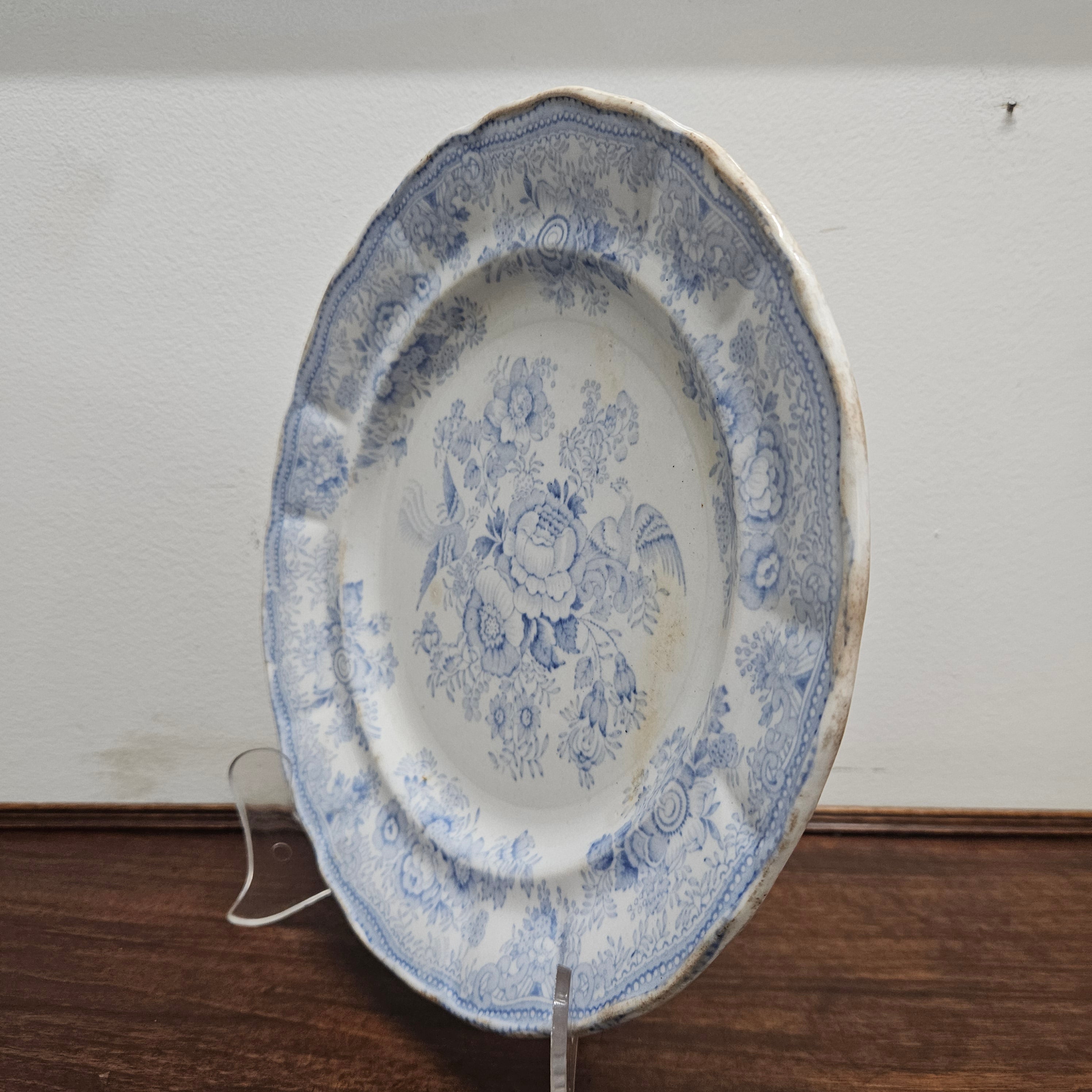 Antique Asiatic Pheasants Display Plate | Antique & Vintage | Moonee Ponds Antiques | Australia Wide Delivery