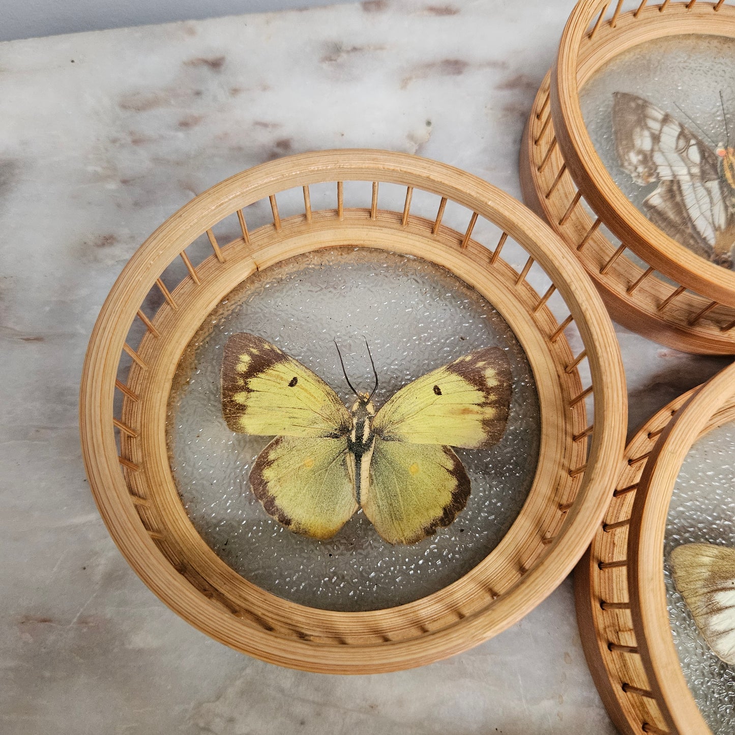 Vintage Set of Six Pressed Butterfly Coasters