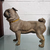 Rare Australian Large Cold Painted Terracotta Pug Statue | Antique & Vintage | Moonee Ponds Antiques | Australia Wide Delivery