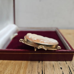 Beautiful Vintage Cameo Set In An Attractive (9 carat) Gold Frame