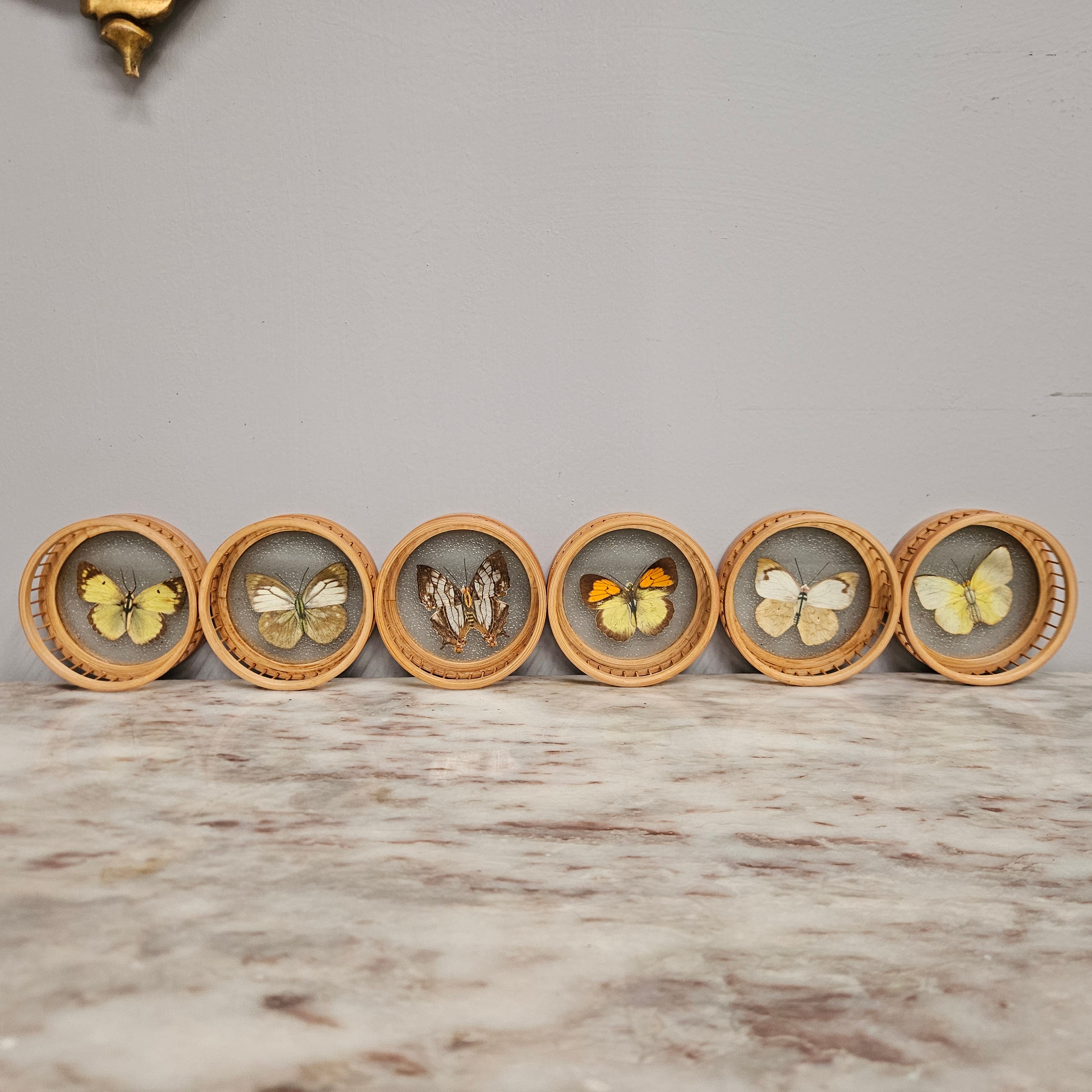 Vintage Set of Six Pressed Butterfly Coasters