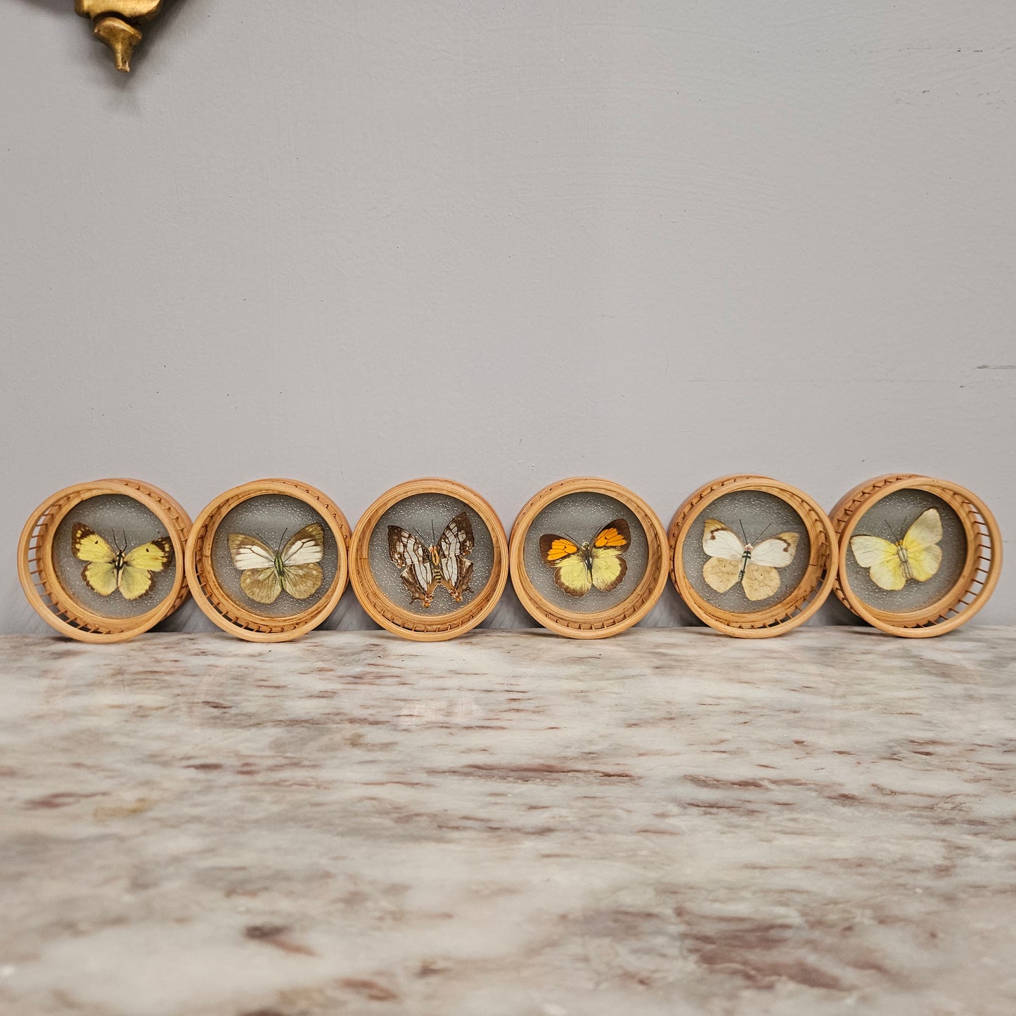 Vintage Set of Six Pressed Butterfly Coasters