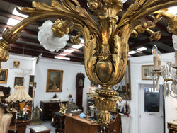 French Louis XV Chandelier | Antique & Vintage | Moonee Ponds Antiques | Australia Wide Delivery