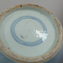 Antique 19th Century Chinese Ginger Jar