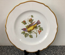 Moonee Ponds Antiques Spode Audubon Bird Plate "Arkansas Kingbird #7"