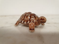 Large "Wade" Tortoise | Antique & Vintage | Moonee Ponds Antiques | Australia Wide Delivery