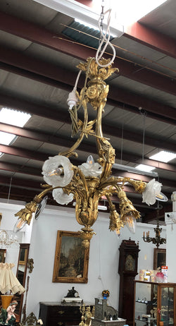 French Louis XV Chandelier | Antique & Vintage | Moonee Ponds Antiques | Australia Wide Delivery