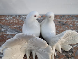 Delightful Vintage Pair of “Lladro” Porcelain Figurine Doves | Antique & Vintage | Moonee Ponds Antiques | Australia Wide Delivery