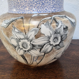 Royal Doulton Biscuit Barrel with silver plated top, handle and lid. Displaying a Daffodil pattern. In original condition please view photo's as they form part of the description.
