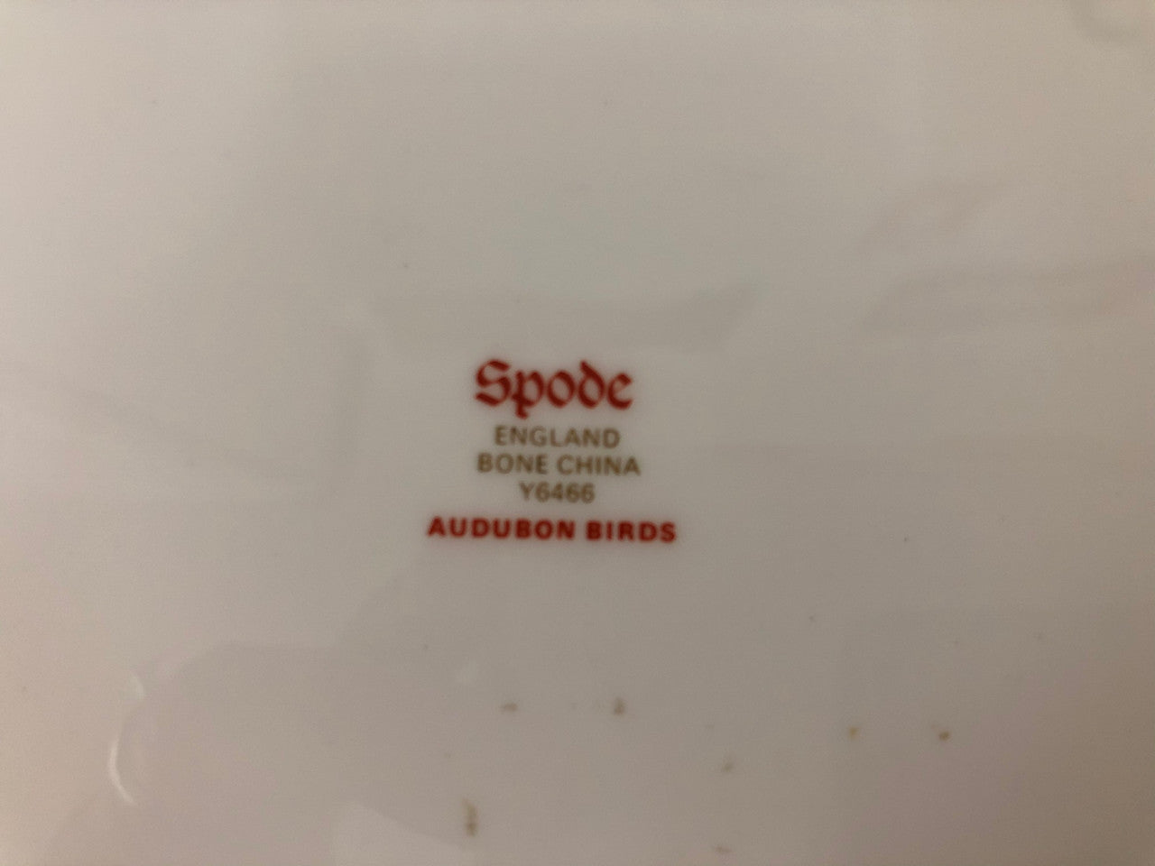 Moonee Ponds Antiques Spode Audubon Bird Plate "Arkansas Kingbird #7"