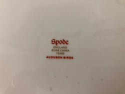 Moonee Ponds Antiques Spode Audubon Bird Plate "Arkansas Kingbird #7"