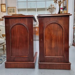 Unique pair of Victorian mahogany bedsides with one fixed shelf. Sourced locally and in good original detailed condition.