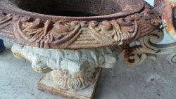 Pair of Antique French Cast Iron Urns | Antique & Vintage | Moonee Ponds Antiques | Australia Wide Delivery