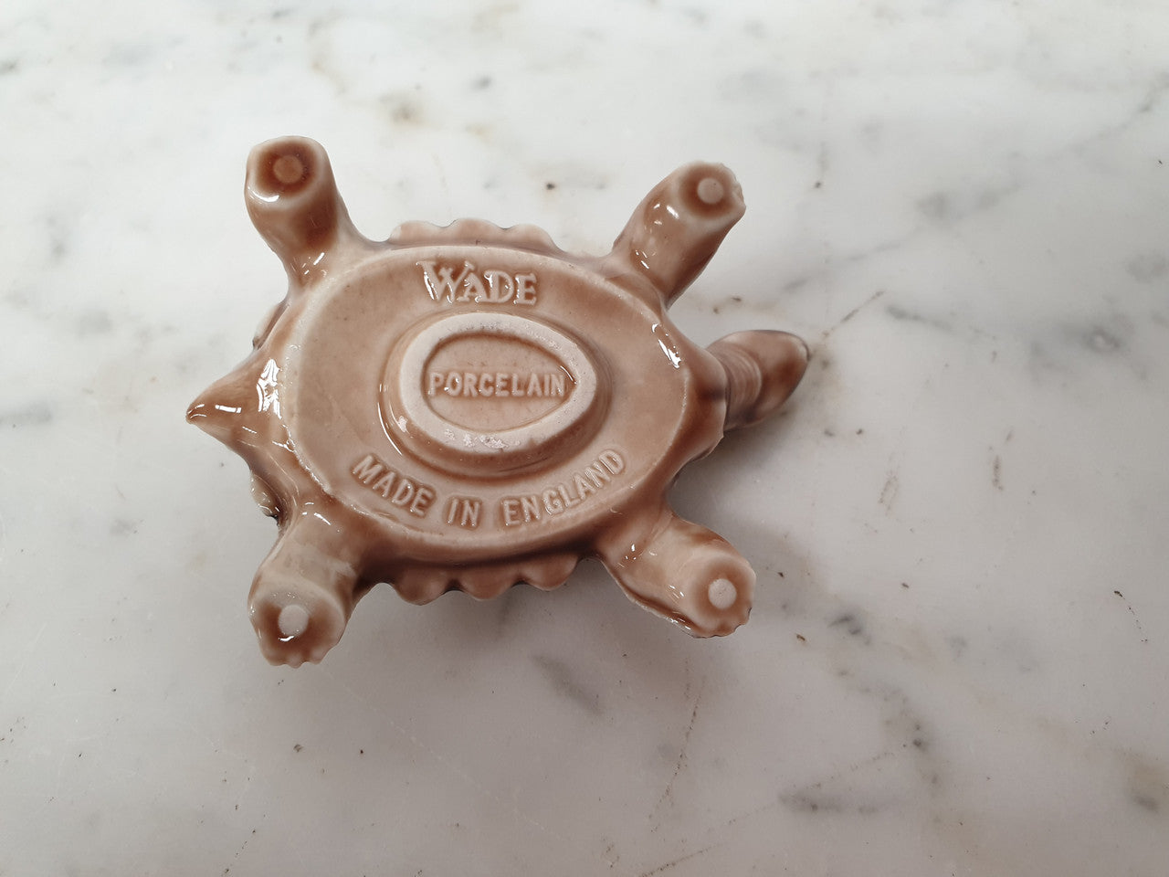 Large "Wade" Tortoise | Antique & Vintage | Moonee Ponds Antiques | Australia Wide Delivery