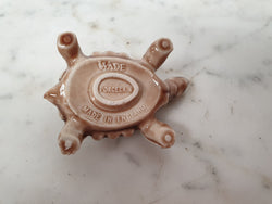 Large "Wade" Tortoise | Antique & Vintage | Moonee Ponds Antiques | Australia Wide Delivery