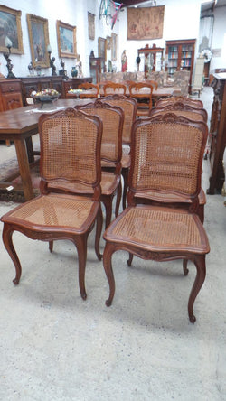 Set Of Six French Cane Chairs | Antique & Vintage | Moonee Ponds Antiques | Australia Wide Delivery