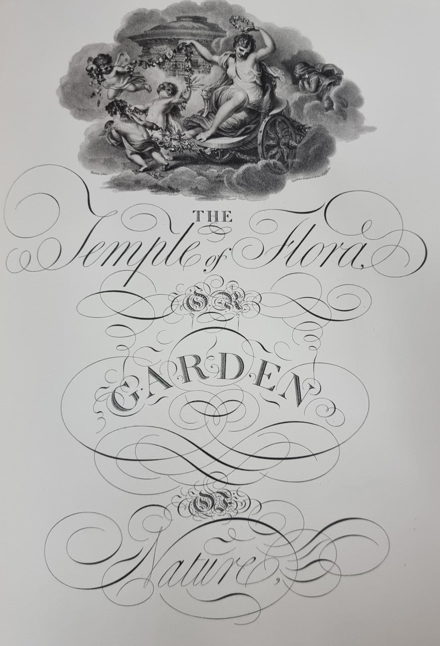 Thorntons Temple Of Flora With Coloured & Collotype Plates