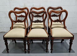 Set of Six Victorian Style Carved Balloon Back Chairs | Antique & Vintage | Moonee Ponds Antiques | Australia Wide Delivery