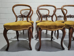 Set of 6 Upholstered Victorian Balloon Back Chairs | Antique & Vintage | Moonee Ponds Antiques | Australia Wide Delivery