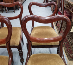 Mahogany Victorian Dining Chairs | Antique & Vintage | Moonee Ponds Antiques | Australia Wide Delivery