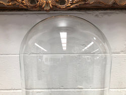 Antique Victorian Glass Display Dome with Black Base | Antique & Vintage | Moonee Ponds Antiques | Australia Wide Delivery