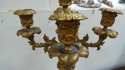Exquisite Pair Of French Bronze Candelabras | Antique & Vintage | Moonee Ponds Antiques | Australia Wide Delivery