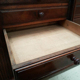 French Walnut Specimen Cabinet