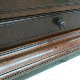 French Walnut Specimen Cabinet