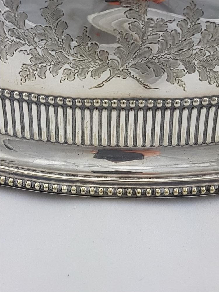 Victorian Meat Cover | Antique & Vintage | Moonee Ponds Antiques | Australia Wide Delivery