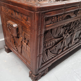 Impressive Carved Camphor Wood Chest