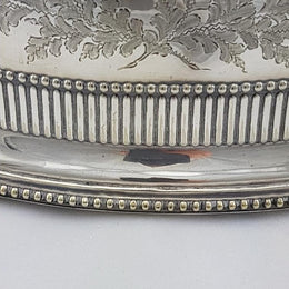 Large Victorian Meat Cover