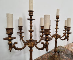 A Pair of French Bronze & Alabaster Marble Base Lamps | Antique & Vintage | Moonee Ponds Antiques | Australia Wide Delivery