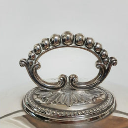 Large Victorian Meat Cover