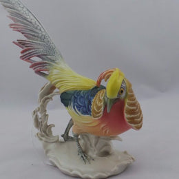 German Golden Pheasant