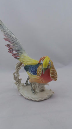 German Golden Pheasant | Antique & Vintage | Moonee Ponds Antiques | Australia Wide Delivery