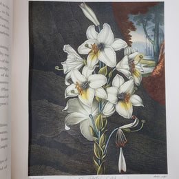 Thorntons Temple Of Flora With Coloured & Collotype Plates