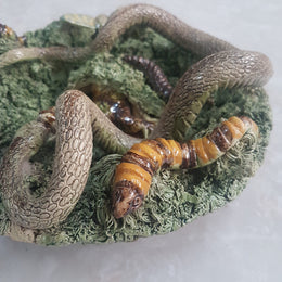 Portuguese Palissy-ware Bowl by Jose A. Cunha