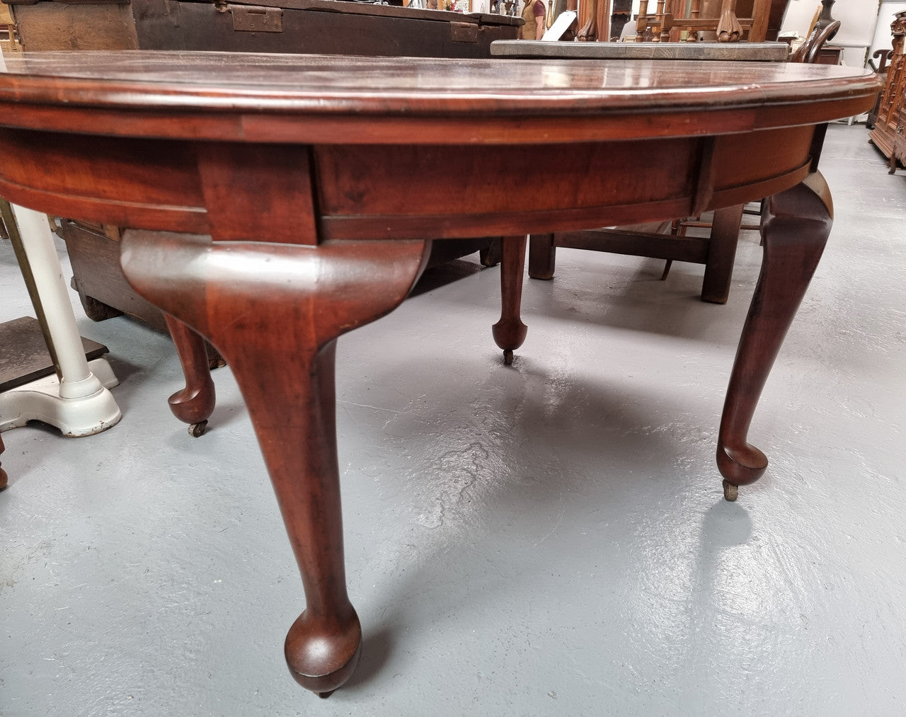 Australian Blackwood Fixed Oval Dining Table with Queen Anne Legs and Castors | Antique & Vintage | Moonee Ponds Antiques | Australia Wide Delivery